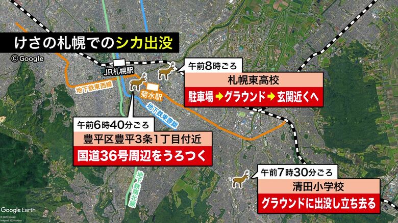 7月1日の朝に札幌に出没したシカ