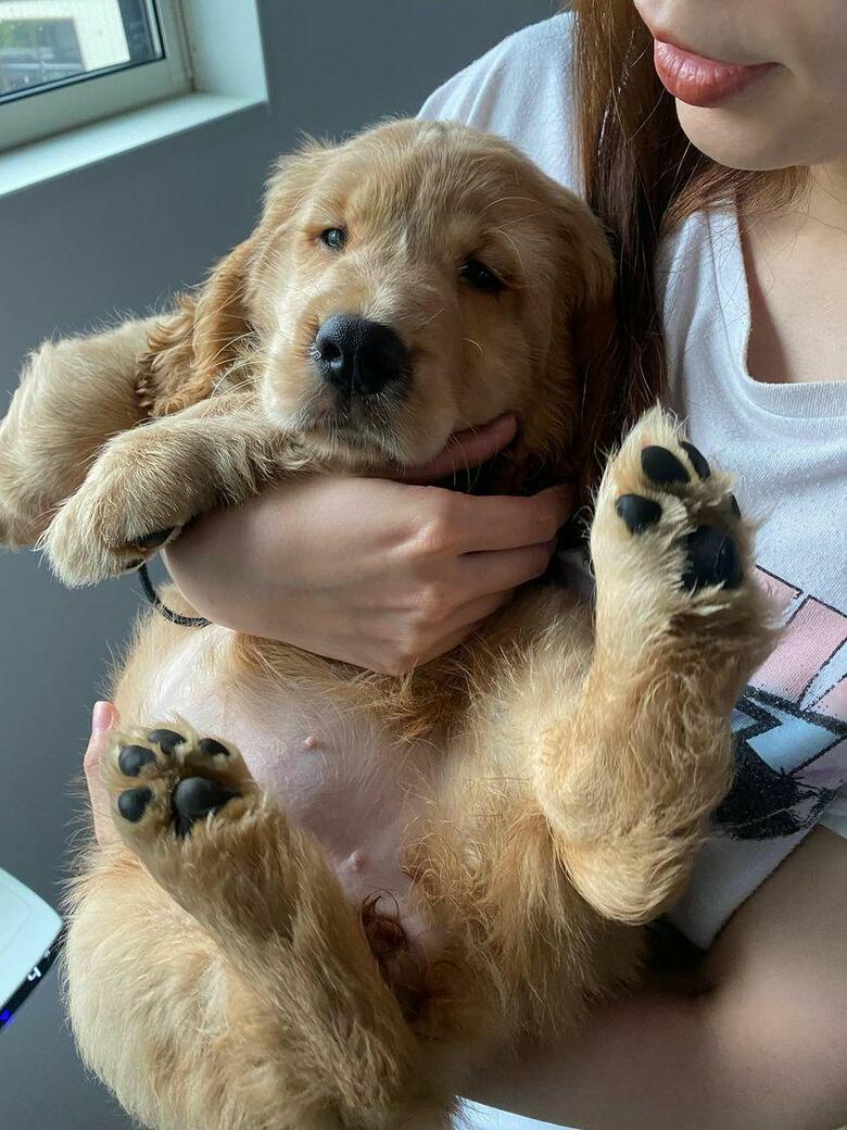 提供：関口和也さん