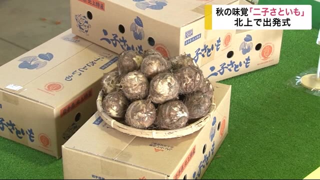 秋の味覚「二子さといも」出発式 北上市特産<岩手県>