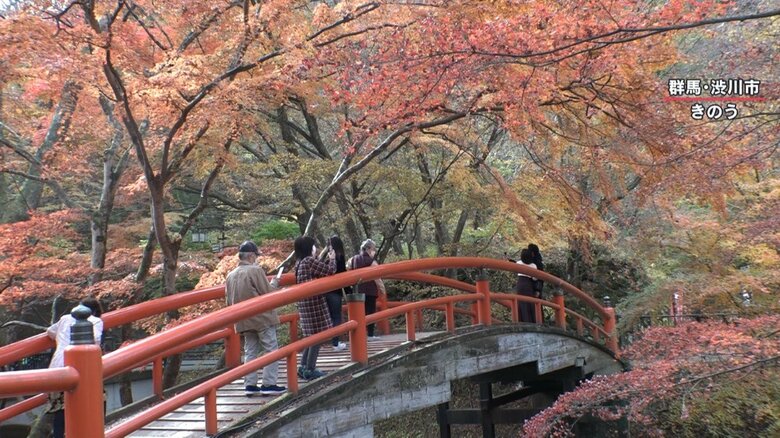 群馬・群馬・渋川市の河鹿橋（11月10日撮影）