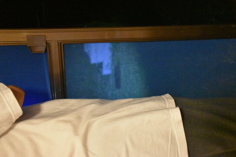 画像提供　森と海の藝術楽校