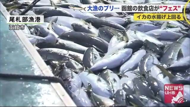 不漁のイカを上回る水揚げ