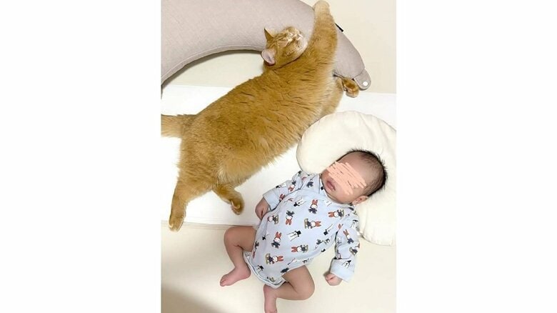 一緒にぐっすり