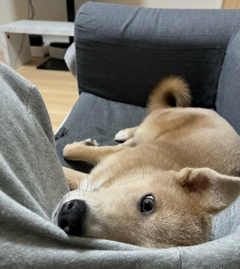 「はよ電気消そーやー」