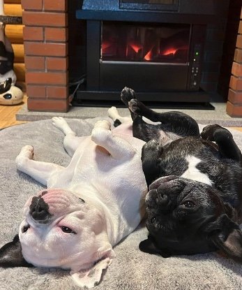 提供：天使の笑顔さん