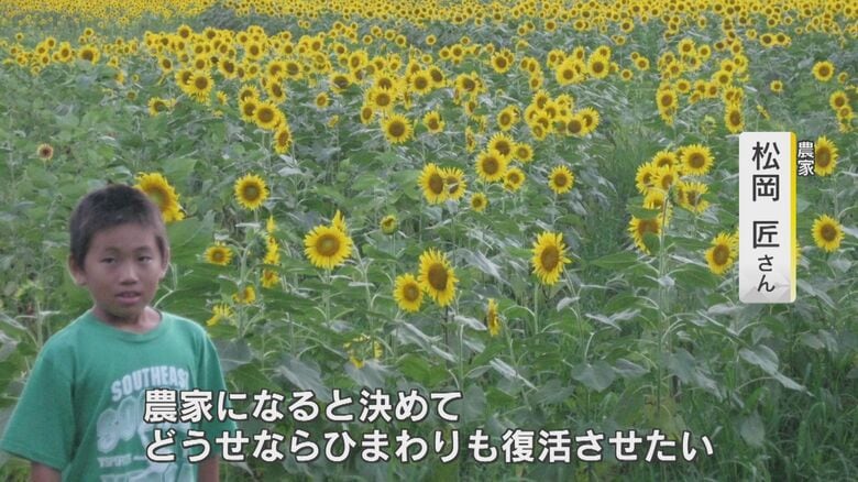 「子ども時代」のヒマワリ畑（写真提供）