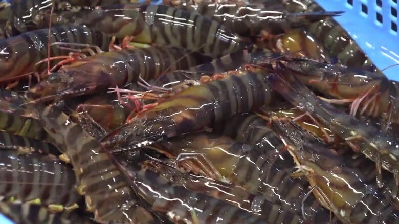 一時“全滅”の危機が…