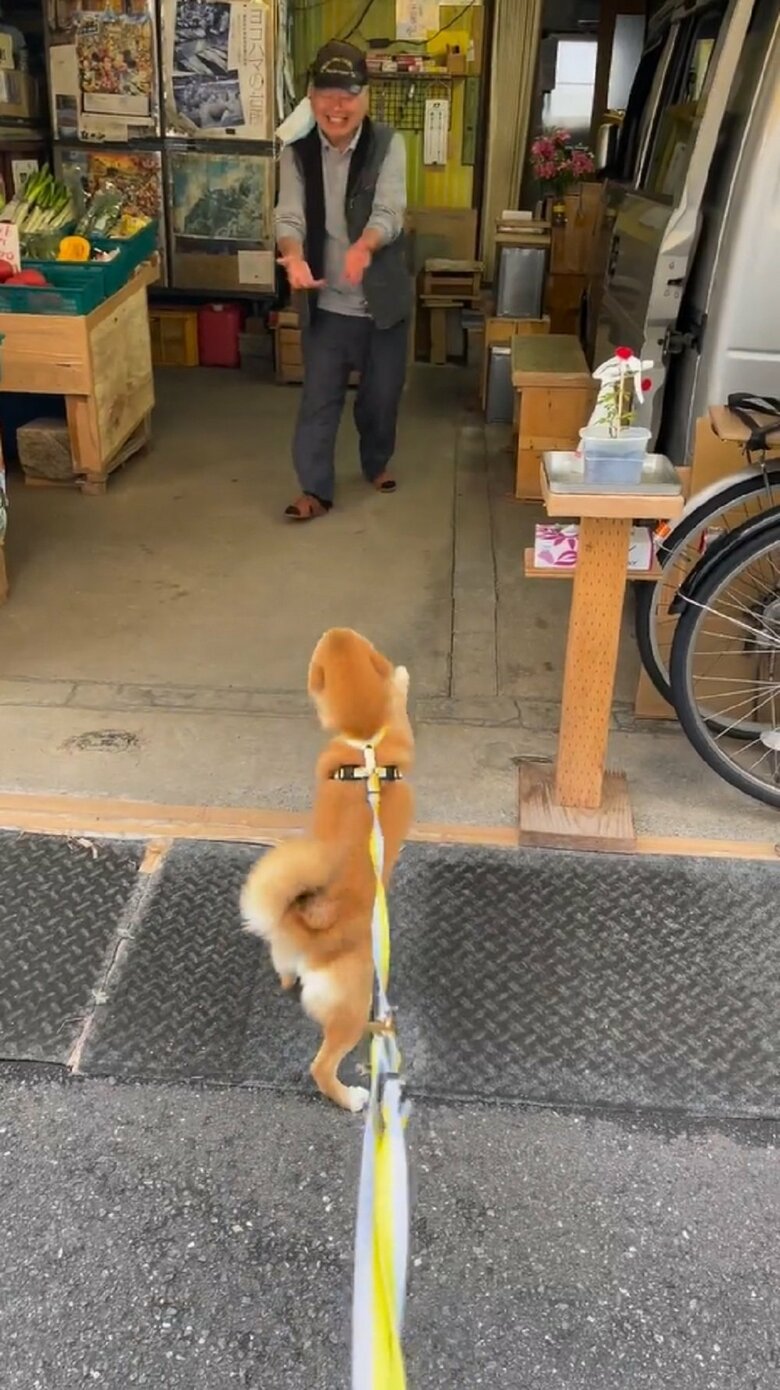 おっちゃんは「よしよし」と言いながら手を伸ばし