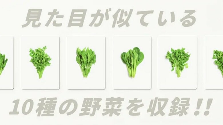 10種類の野菜を収録