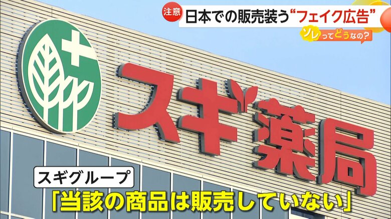 スギグループに取材をした際の回答