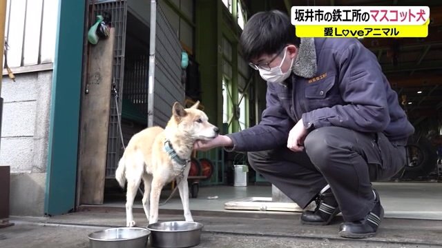 古畑さんによしよしされて気持ち良さそう