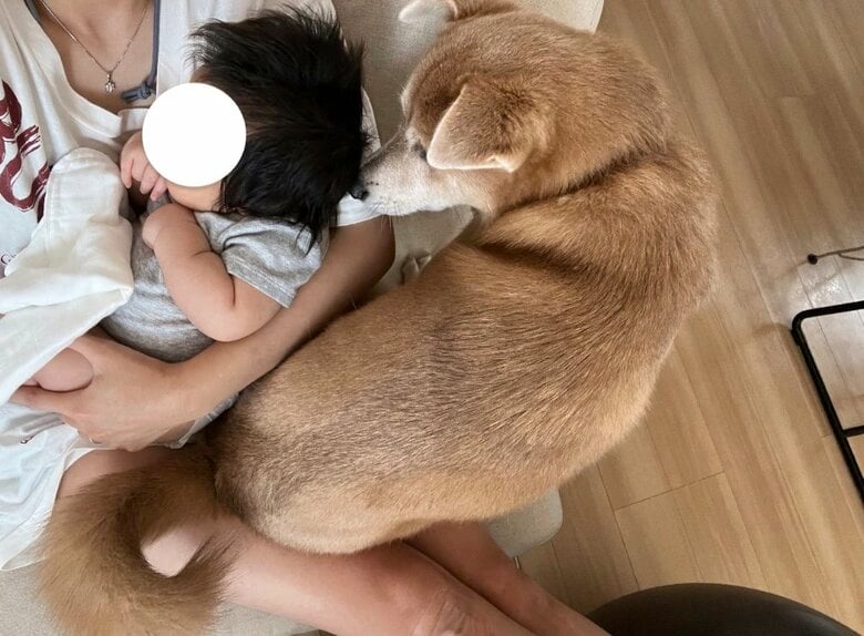 狭くても飼い主の近くにいたい（提供：あさぎさん）