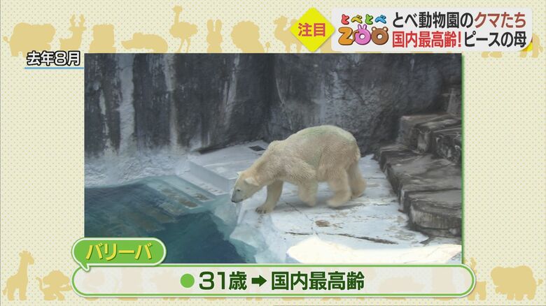 「ピース」のお母さん・「バリーバ」