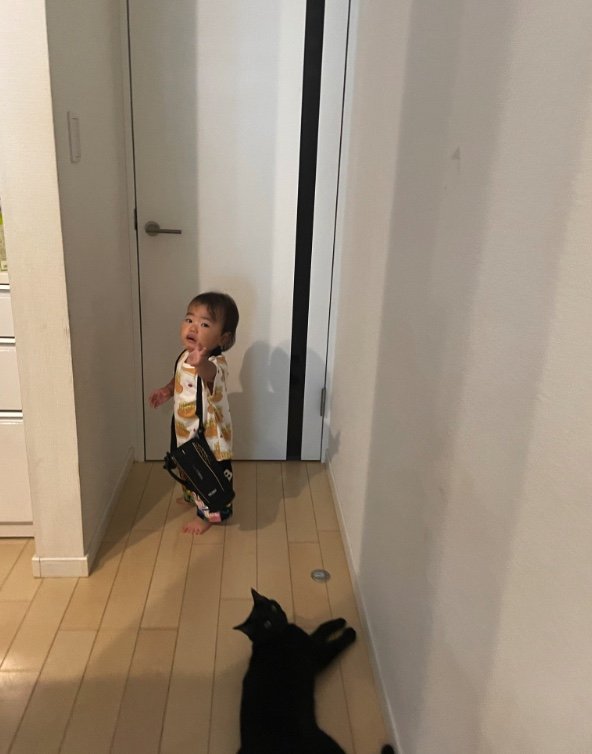 提供：ゴンゾウR4さん