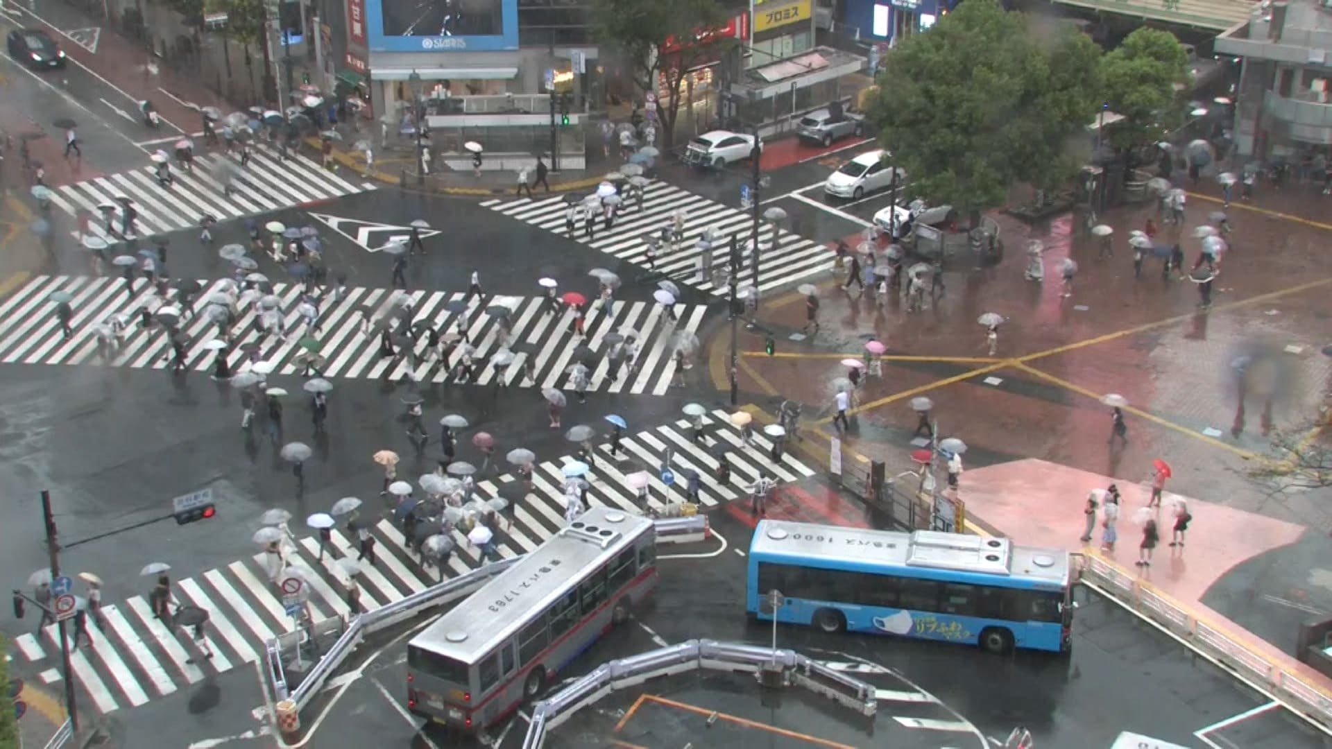 台風接近で関東の交通機関は？JR青梅線の青梅ー奥多摩間運転見合わせ　関東では帰宅時間帯が大雨ピーク予想