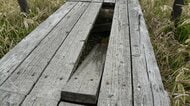 老朽化が原因で陥没か　国の天然記念物に指定の霧ヶ峰車山湿原の木道で木の板を踏み抜いて転倒　埼玉県の84歳女性が重傷　市教委が一帯の危険個所を修繕　長野・諏訪市