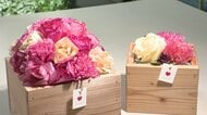 8年で売り上げ20倍以上　木の香り漂う「枯れない花」が人気　バラやカーネーション「本物と遜色ない」　捨てられる“かんなくず”を有効利用「木の恩恵を感じて」　長野・北相木村