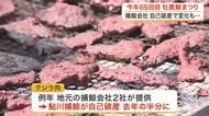 今年で６５回「牡鹿鯨まつり」　地元捕鯨会社「自己破産」で変化も〈宮城〉