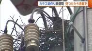 “カラスの巣”が停電の原因に！？毎年6000個ほど撤去…見つけたら通報を「カラスも必死だと思うが戦っていかなければ」
