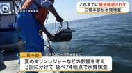 巡視船からの大量重油流出事故で水質検査　「重油成分は確認されず」と発表〈宮城〉