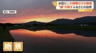 「後世に残したい景色」この時期限定の幻想絶景　鏡のような水面に映る夕焼けと山々　岡山・奈義町