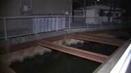 男児2人 用水路に転落 意識不明 兄弟か