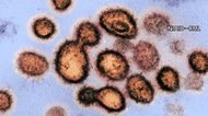 「急速な感染拡大に至る可能性」 新規感染者数 最多の水準
