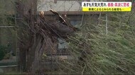暴風によるとみられる被害も…天気大荒れ 暴風・高波に注意 秋田