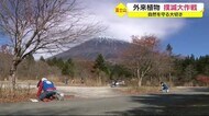 富士山の自然を守ろう ”外来植物”撲滅大作戦 静岡・富士宮市