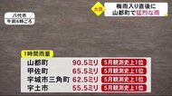 山都町1時間に90ミリの猛烈な雨 女性1人が行方不明(熊本)