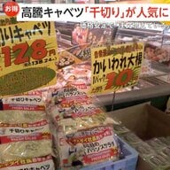 「正直言って赤字」　1玉400円台…平年比“約3.3倍”の高騰にキャベツの「千切り」が人気　価格安定で生産量2割増「注文増えている」