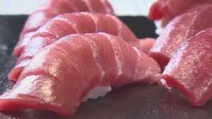 寿司屋から“トロ”が消える! クロマグロが幻の魚になる日