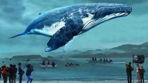 「おクジラさま」の町。シーシェパードと合わぬ価値観