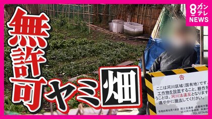 「年いったらすることない…」身勝手な不法耕作者が河川敷で作物育てる『ヤミ畑』国交省の指導にも応じず「国の土地いうてもわしら25年このままや」