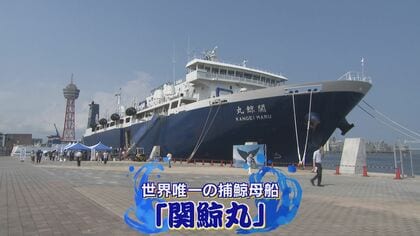 世界唯一の捕鯨母船『関鯨丸』初入港 内部を一般公開 70トン級のクジラをさばくスパースに驚き 【福岡発】