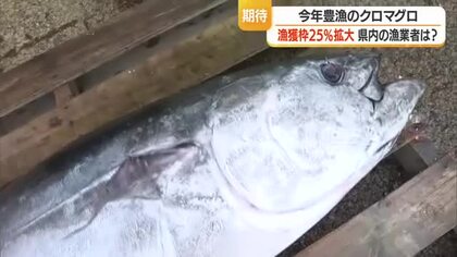 「単価下がり消費者手に取りやすくなる」　大型クロマグロ漁獲枠25％増・漁業関係者の声　山形・庄内浜