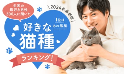 【2024年最新版:全国の猫好き男性300人に聞いた】好きな猫種ランキング!1位はあの猫種