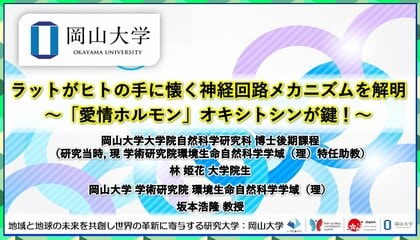 【岡山大学】ラットがヒトの手に懐く神経回路メカニズムを解明~「愛情ホルモン」オキシトシンが鍵!~