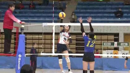 春の高校バレー岩手県大会開幕　全国切符かけ熱戦　盛岡誠桜（女子）南昌みらい（男子）が準々決勝進出