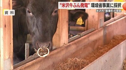 ブランド牛・米沢牛の“ふん”活用したバイオガス発電が環境省「脱炭素先行地域」採択　ペレット肥料の生産も【山形発】