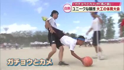 「ガチョウとカメ」ユニークな名物競技などで約1000人が熱戦　大分工業高校で体育大会　