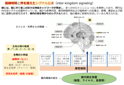 ニューノーマル時代の未病マネジメントの切り札 マイクロバイオーム 微生物叢 100兆個