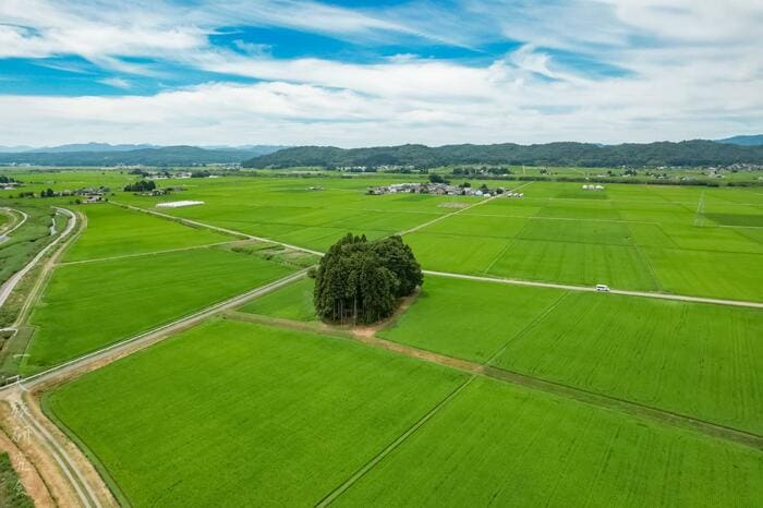 福島県・若宮八幡神社（2025年7月撮影）