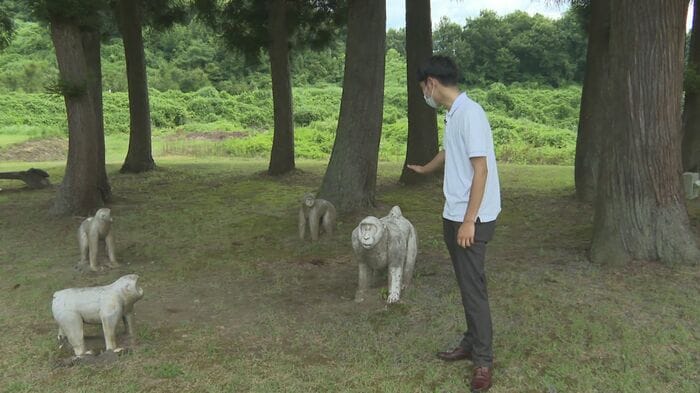 サルの集団