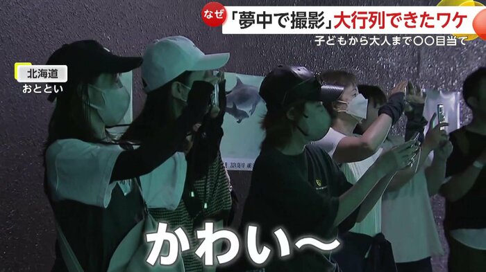 歓声を上げてカメラを向ける来園者たち
