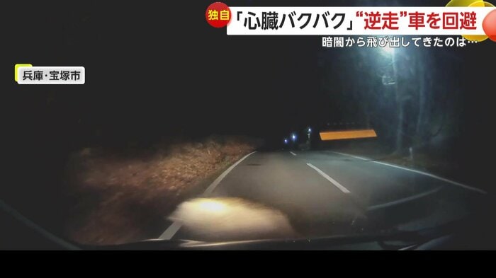 急ぎ足で走り去るイノシシ（視聴者提供）