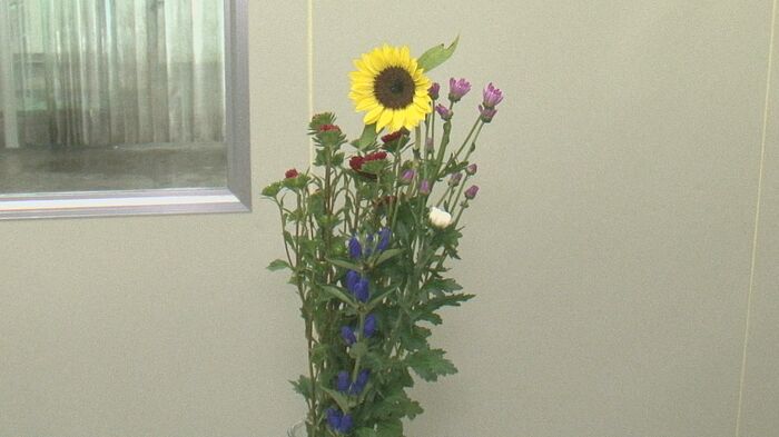ヒマワリはお盆の仏花にも