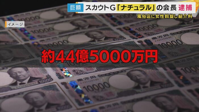 「ナチュラル」が稼いだとされる金額は1年間で約44億5000万円