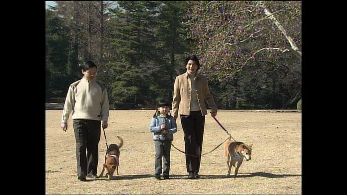 平成18（2006）年