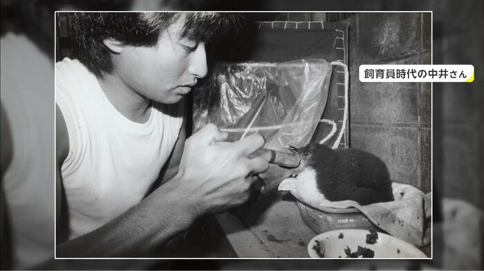「キタイワトビペンギン」を飼育する中井さん